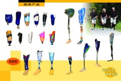 下肢產品