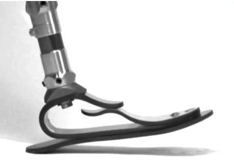 微型切片技術(shù)碳纖儲能假腳