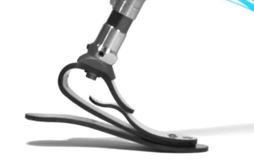 微型切片技術(shù)碳纖儲能假腳